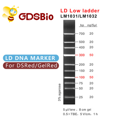Bas marqueur d'ADN d'échelle de LD LM1031 (60 préparations) /LM1032 (60 preps×3)