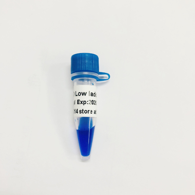 Bas marqueur d'ADN d'échelle de LD LM1031 (60 préparations) /LM1032 (60 preps×3)