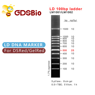 préparations du marqueur 60 d'ADN d'électrophorèse de gel de l'échelle 100bp
