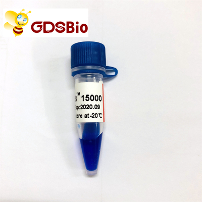Échelle de marqueur d'ADN de LD DS 15000bp 15kb LM1161 (50 préparations) /LM1162 (50 preps×5)