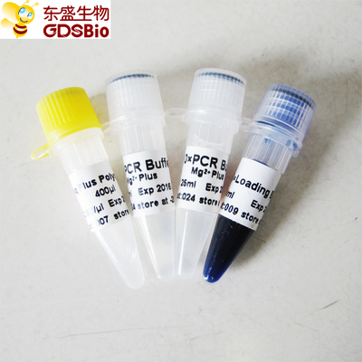 Tampon bleu Taq plus l'ADN polymérase pour l'ACP P1031 P1032 P1033 P1034