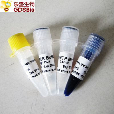 Tampon bleu Taq plus l'ADN polymérase pour l'ACP P1031 P1032 P1033 P1034