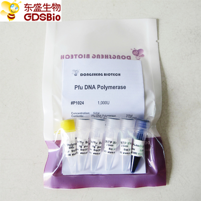ADN polymérase de Pfu pour l'ACP P1021 P1022 P1023 P1024