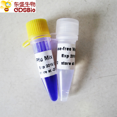 Mélange principal acide nucléique P2021 1ml d'ACP de Pfu de détection d'ACP d'ARN d'ADN