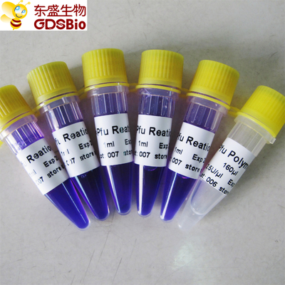 Mélange principal acide nucléique P3022 1ml×5 de Pfu de détection d'ACP
