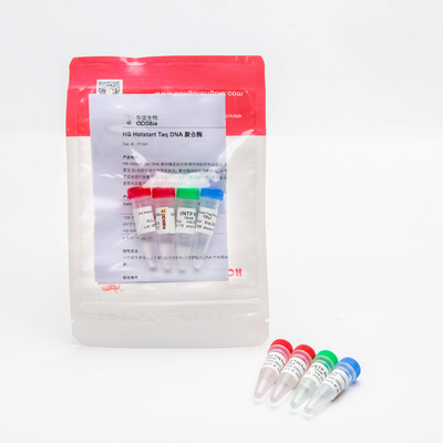 HS Hotstart Taq DNA Polymerase PCR Master Mix P1091 500U Haute Spécificité