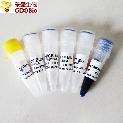 ADN polymérase de haute qualité de GDSBio Taq P1014 1000U