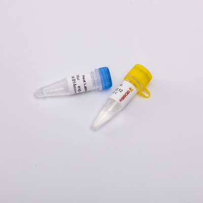 Anti biologie moléculaire labile à la chaleur R5001 d'enzymes de la contamination UDG