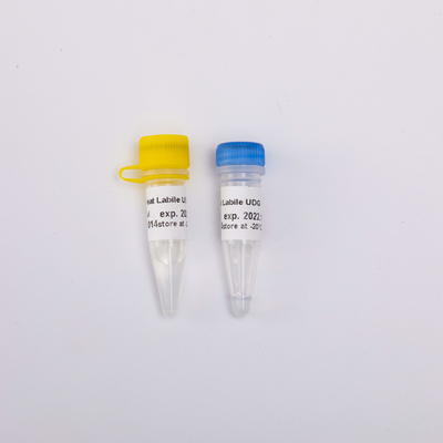 Anti biologie moléculaire labile à la chaleur R5001 d'enzymes de la contamination UDG