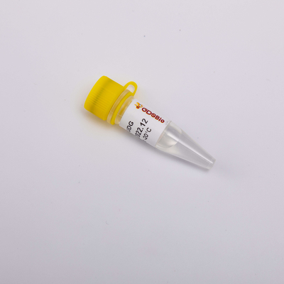 Enzyme labile à la chaleur R5002 d'anti-contamination d'UDG