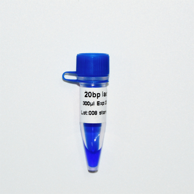 aspect bleu de GDSBio d'électrophorèse de marqueur d'ADN de l'échelle 20bp
