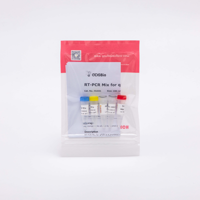 R1031 GDSBio RT PCR Mix pour QPCR réactifs PCR transcriptase inverse prémélangés