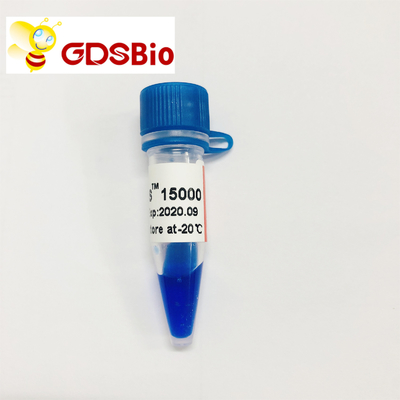 Électrophorèse de marqueur d'ADN de DS LD 15000bp 15kb 50 préparations