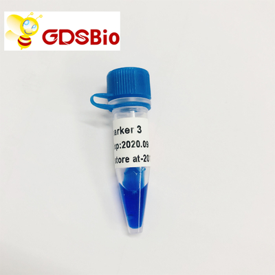 Électrophorèse de marqueur d'ADN du marqueur 3 de GDSBio LD 60 préparations