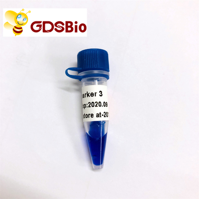 Électrophorèse de marqueur d'ADN du marqueur 3 de GDSBio LD 60 préparations