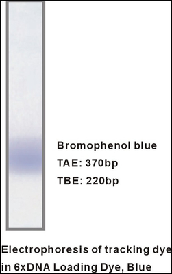Réactifs spécifiques de chargement d'électrophorèse d'ADN de tampon de gel de M9051 1mlx5 6×