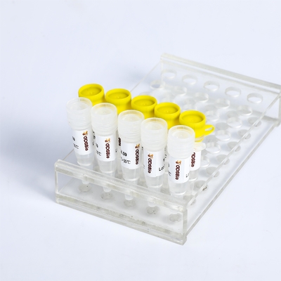 Détection par PCR KASP du mélange maître P4021 P4022 SNP InDels