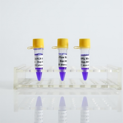 Taq Mix II P2011b PCR Master Mix spécificité de haute sensibilité