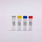 48 Test/Kit 96 Test/Kit Nucleic Acid Detection Kit