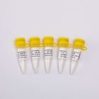 GDSBio Nucleic Acid Purification Kit 2019-NCoV-AbEN Pseudovirus V1001 V1002 V1003