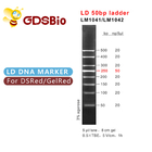 50bp DNA Gel Electrophoresis Marker Ladder GDSBio
