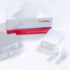 CE Viral Nucleic Acid Extraction Kit 96 Deep Well Plate Viral RNA DNA Miniprep Kit Magnetic Beads